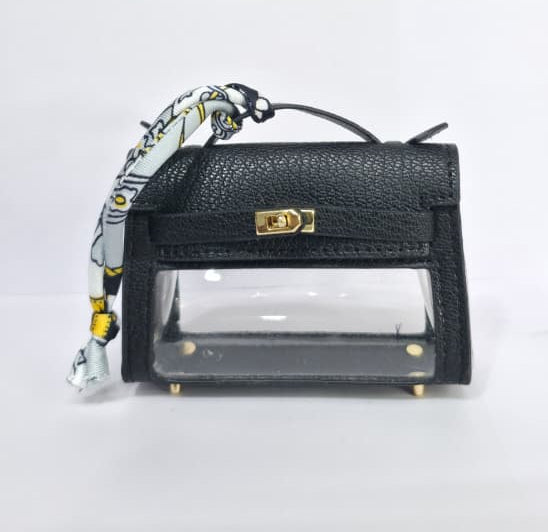 Transparent Panel Luxury Mini Handbag