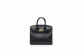 Textured Luxury Mini Top-Handle Handbag