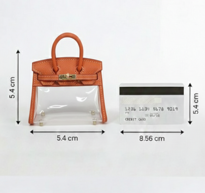 Transparent Panel Luxury Mini Handbag